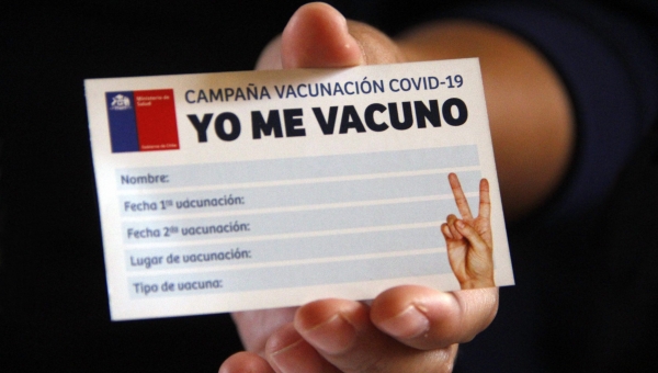 Evidencia presentada ante notario sobre vacuna-magnetización Iquique - Chile